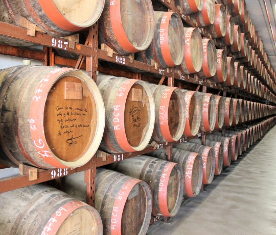 Signed barrels in the Arucas rum factory, Gran Canaria's rum distillery famous for its honey rum
