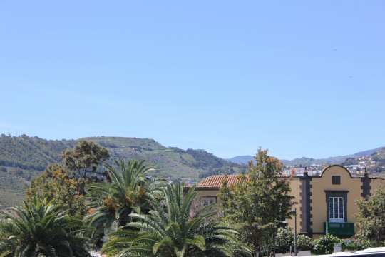 View out across the trees to the mountains from Arucas in Gran Canaria