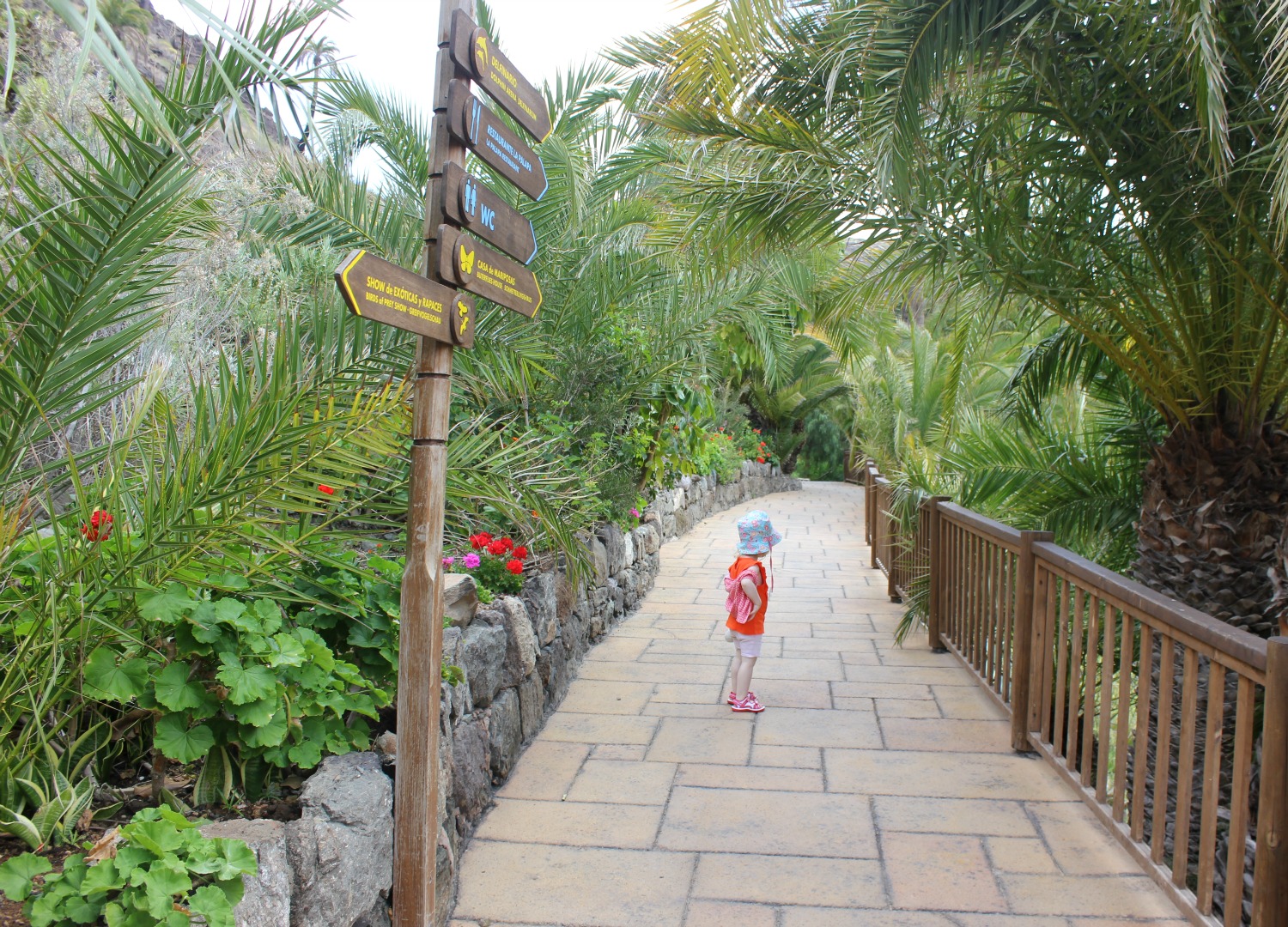 My toddler daughter stands on the path by a sign at Palmitos Park Gran Canaria