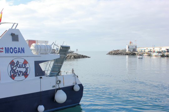Little ferry coming in to Puerto de Mogan harbour in Gran Canaria