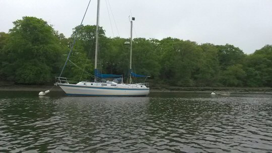 Boats on the Beaulieu river in the New Forest