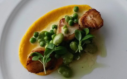 Scallops at the restaurant of St Michael's hotel in Falmouth, Cornwall