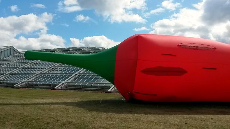 Inflatable red chilli pepper at Kew Gardens in London, as part of the Full of Spice event