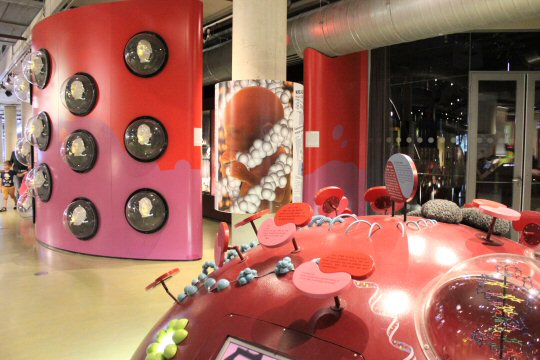 Bright red and pink interactive displays at Nemo Amsterdam