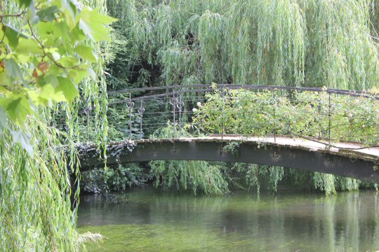 Bridge across the stream at Mottisfont, looking like something from an Impressionist painting