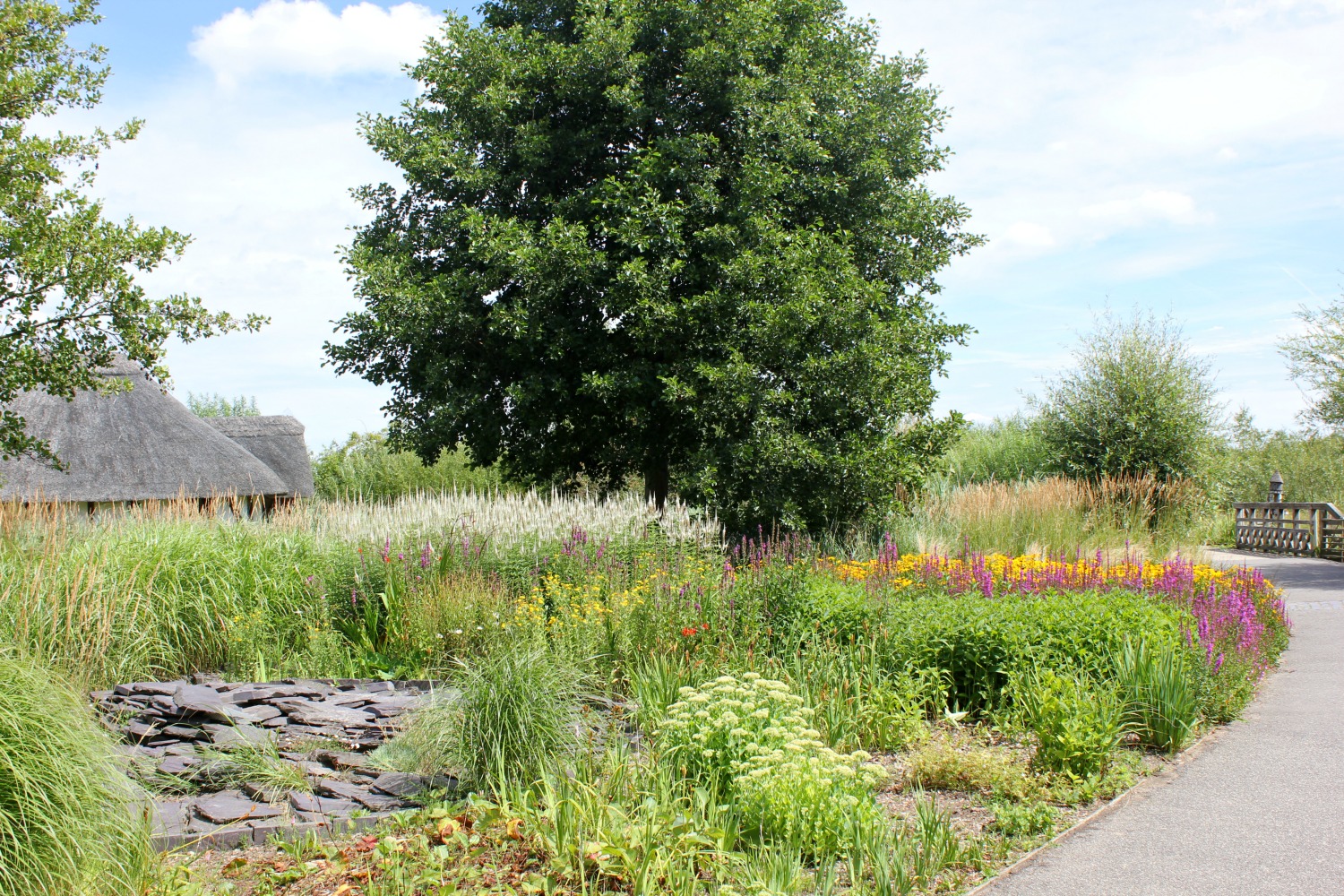 Flowers blooming in the slate garden at the London Wetland Centre in Barnes