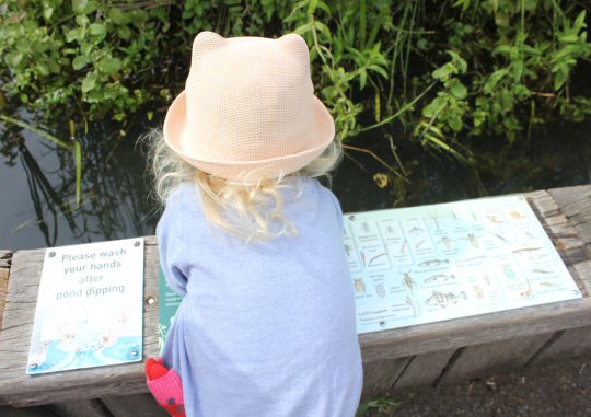 My three-year-old daughter next to a sheet showing some of the creatures to be found pond dipping at the London Wetland Centre