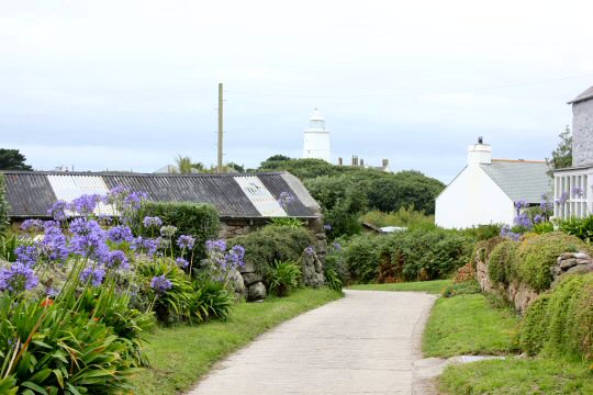 View of some of the houses in St Agnes with the sea in the distance