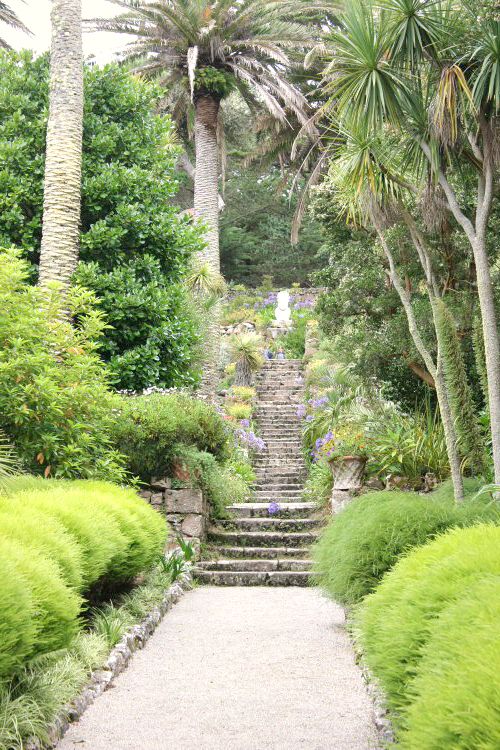 Lush trees in the Abbey gardens on Tresco - my reasons to visit the Isles of Scilly