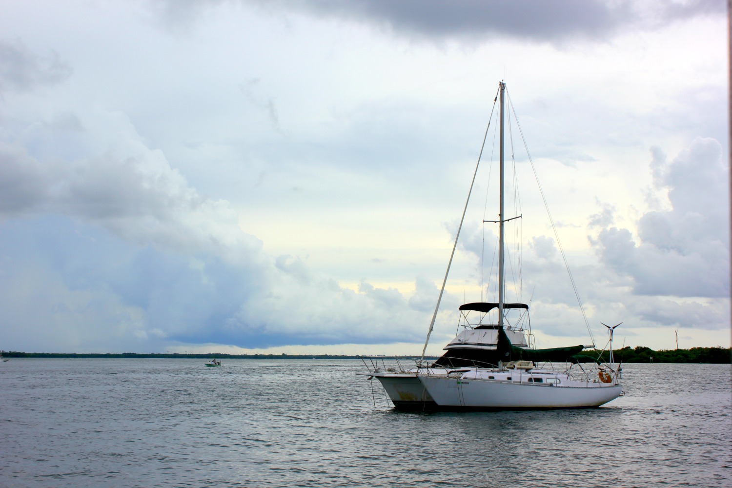 Boat against a cloudy sky on a boat trip to spot dolphins in Florida