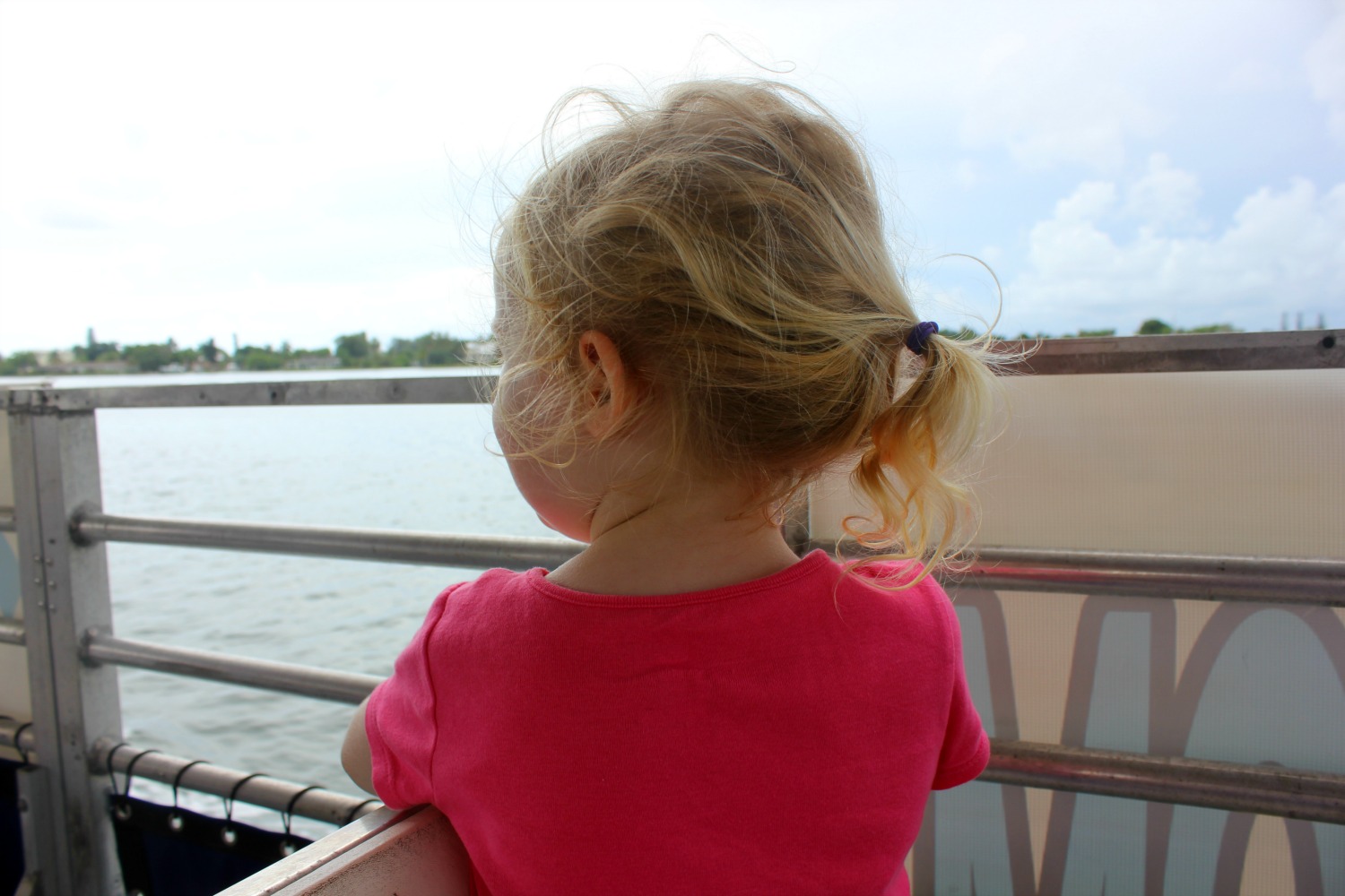 My daughter looking for dolphins in Florida on a boat trip off Anna Maria island