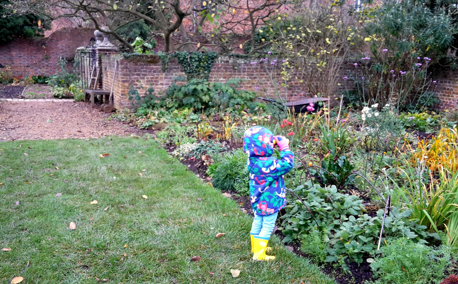 My daughter looks through National Trust binoculars at plants in the gardens of Osterley House