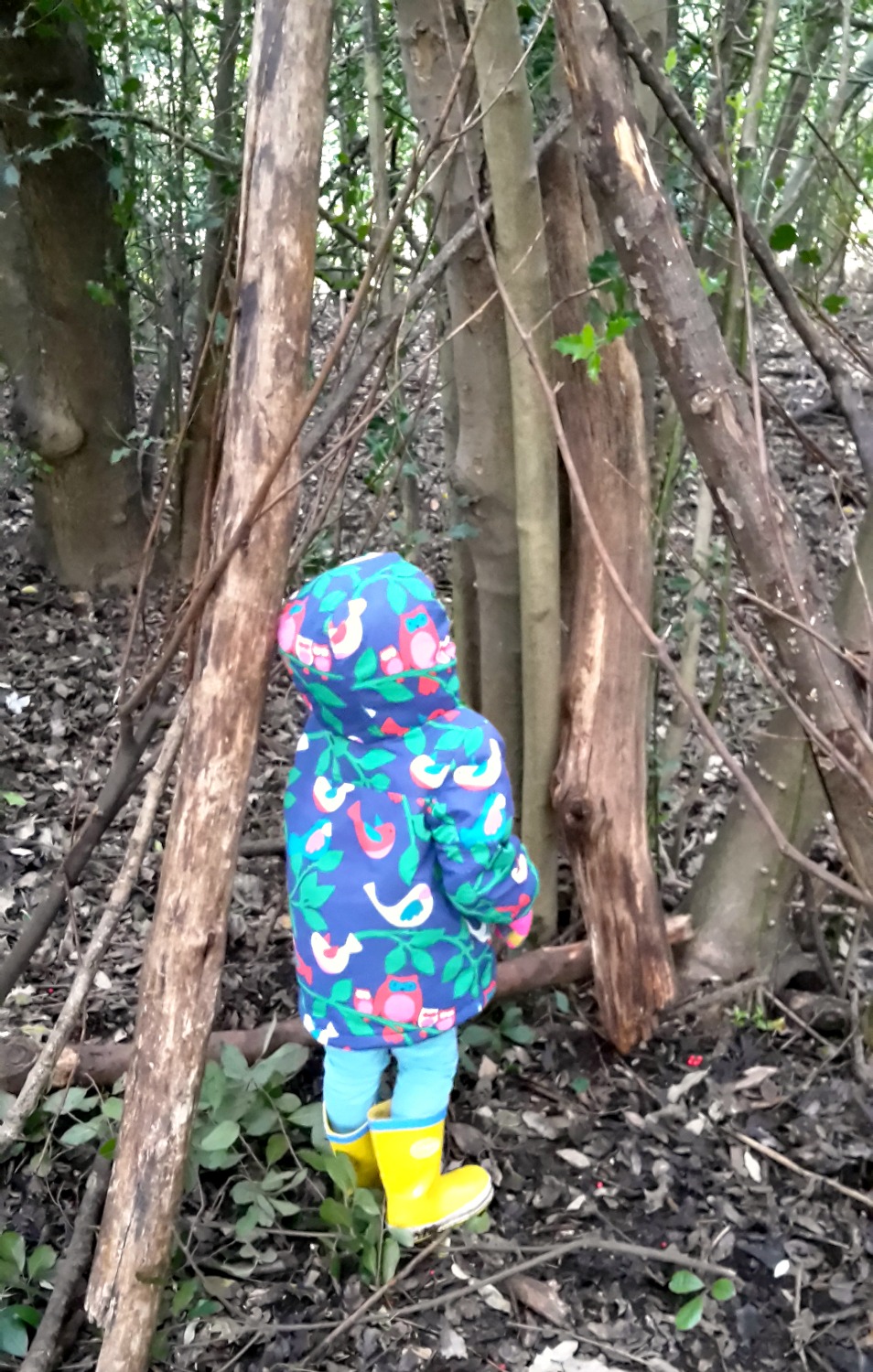My daughter stands looking up at the huge branches pulled together into a den near the Osterley House play area