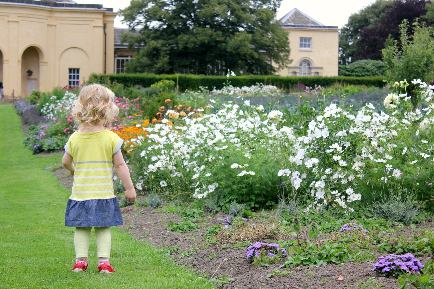 My daughter looks at the flowers in the gardens at Nostell Priory, Yorkshire