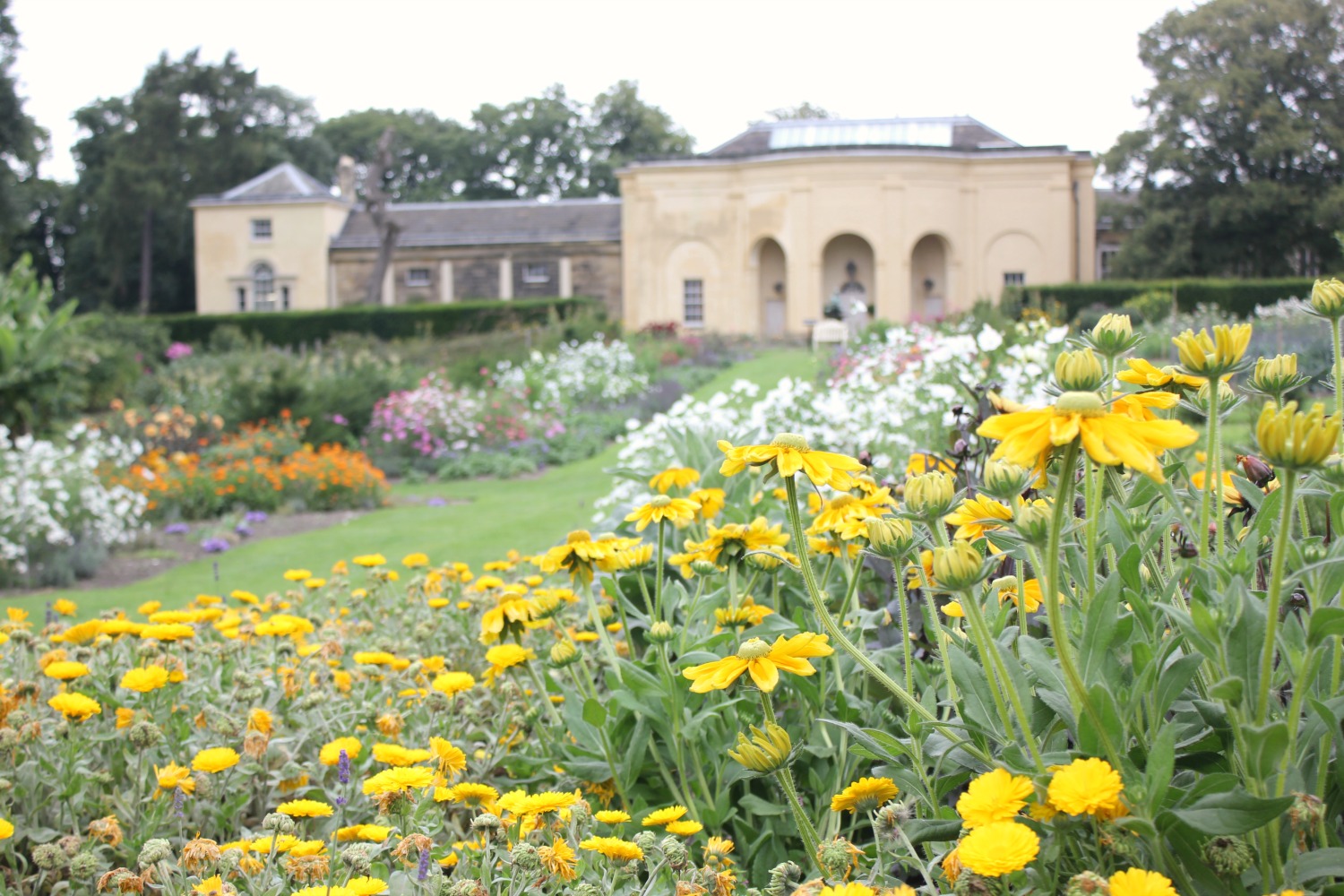 View across the flowers to the buildings of Nostell Priory in Yorkshire - visiting Nostell Priory with kids