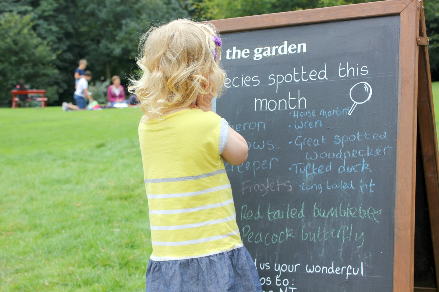 My daughter checks out the blackboard of creatures spotted at the National Trust property in Yorkshire - visiting Nostell Priory with kids