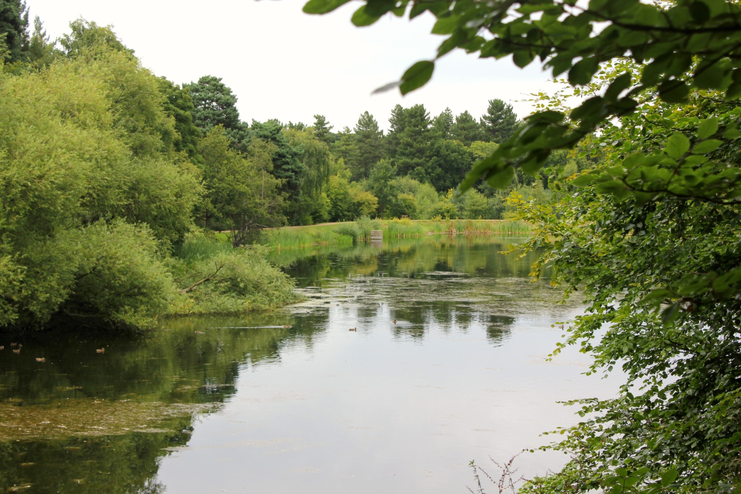 View across the lake at Nostell Priory, during our weekend in Yorkshire