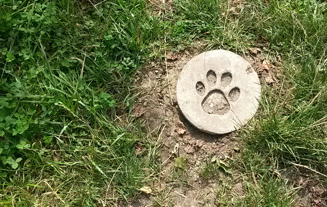 Impression of a paw print on the ground - one of the Room on the Broom activities along the Yorkshire trail