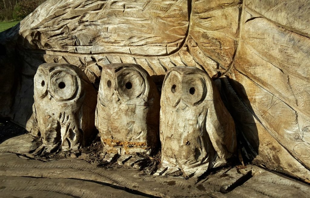 Carved wooden bench with three owls on at Wendover Woods in Buckinghamshire