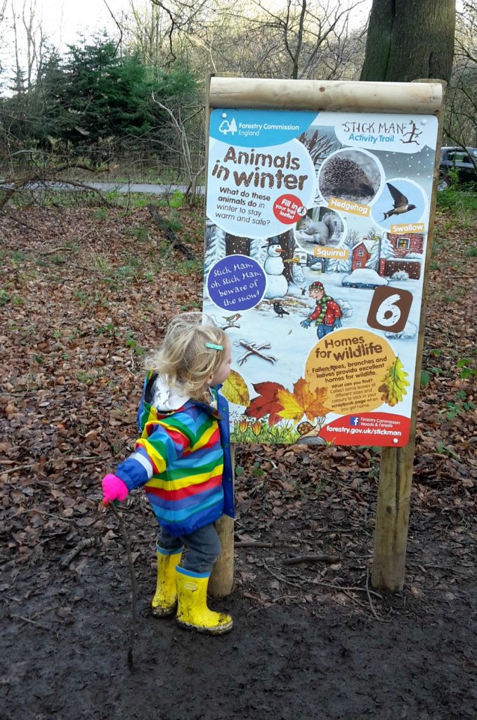 My daughter looks at one of the signs about animal winter habitats on the Stick Man trail on a family day out in Buckinghamshire, at Wendover Woods