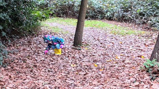 My daughter bends down to look in the leaves in the grounds of Osterley House