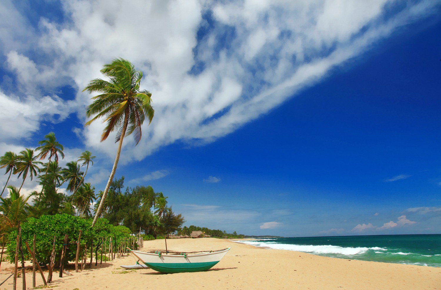 A view of the beach with blue sky and palm trees - four reasons to consider Sri Lanka for kids