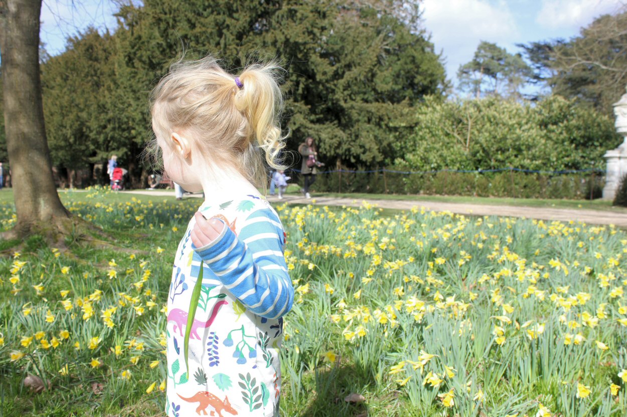 My daughter among the daffodils as we followed the Cliveden Easter Egg hunt trail