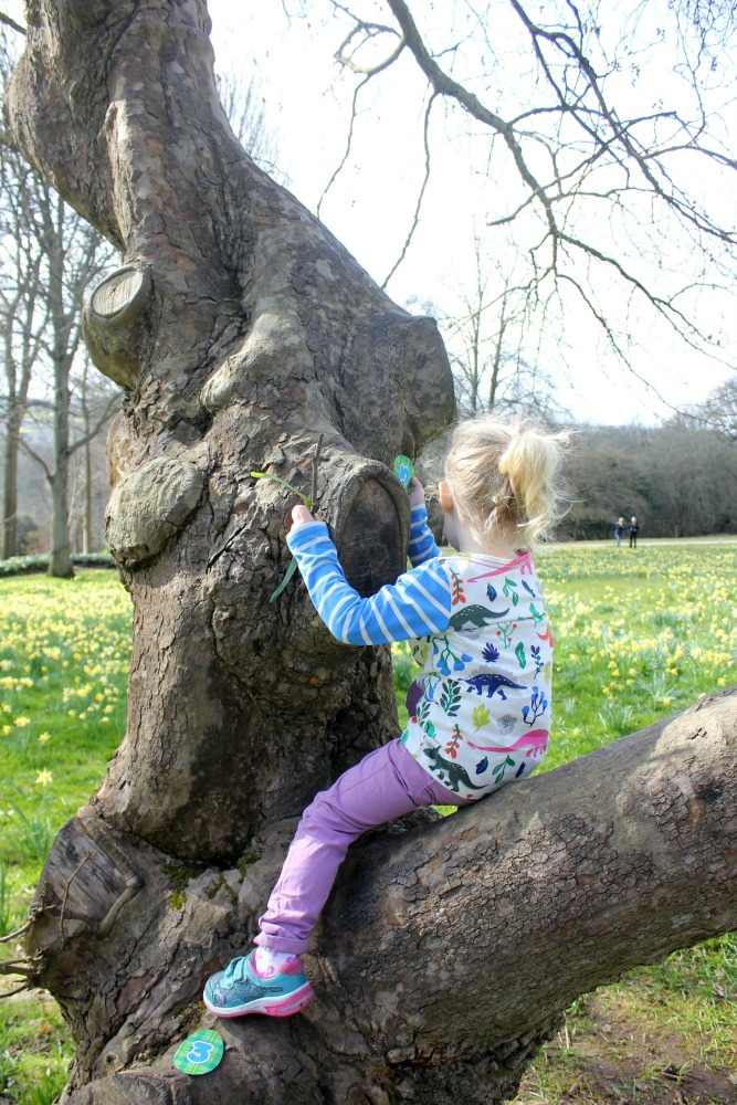My daughter on a tree in the gardens at Cliveden National Trust