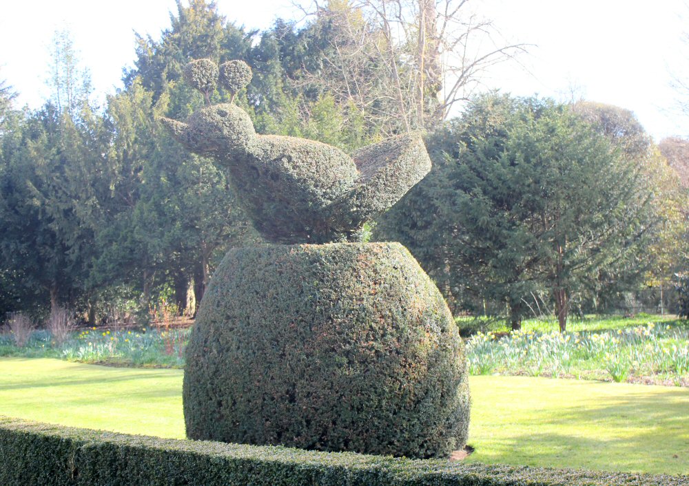 Topiary bird in the gardens at Cliveden National Trust on our day out following the Easter Egg trail