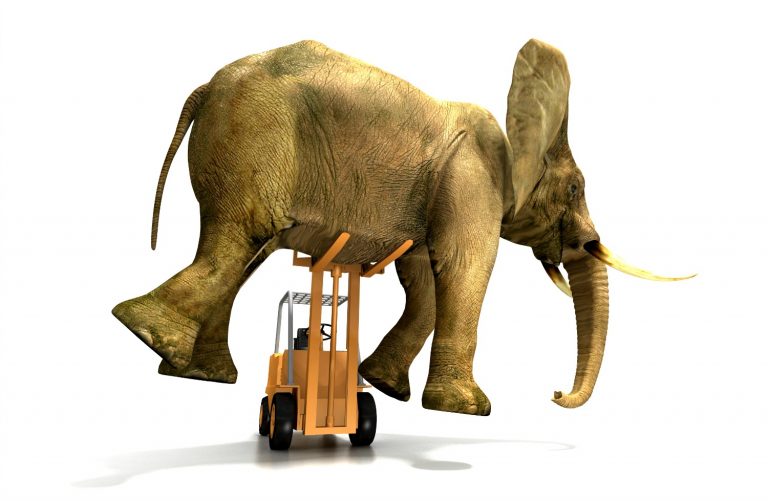 An elephant balanced on top of a small forklift truck - one of the few ways I haven't considered transporting a preschooler through an airport: do you choose a buggy, trunki, scooter, carrier or something else?