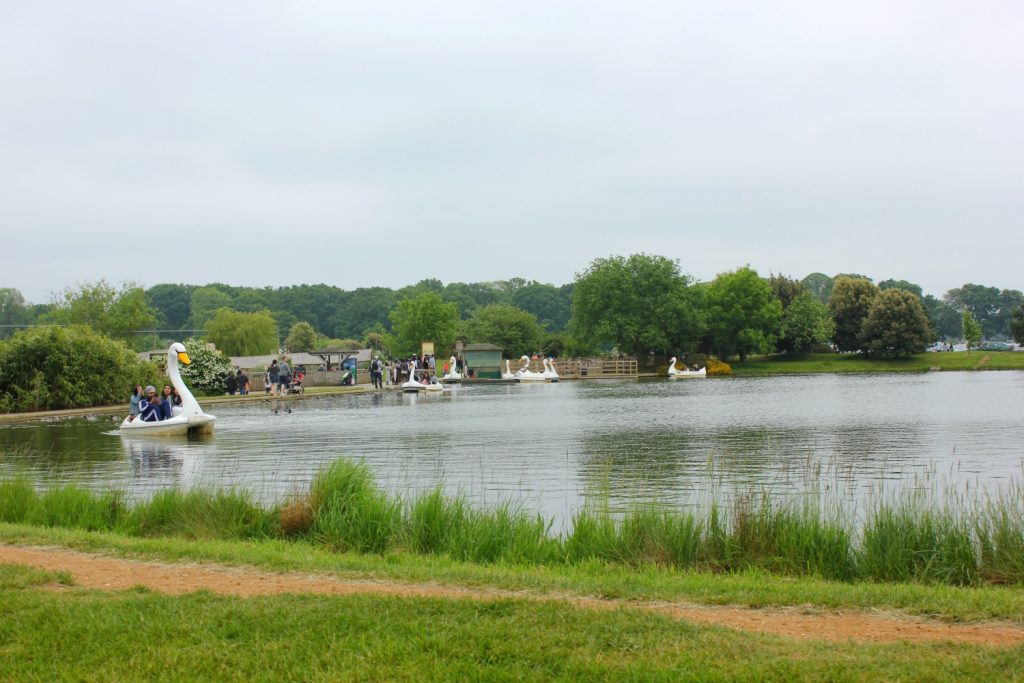 View of the lake at Woburn Safari Park in Bedfordshire