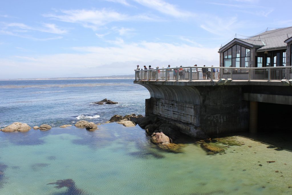 Looking out to the see at Monterey Aquarium - my Pacific Coast Highway pictures and reasons to visit California