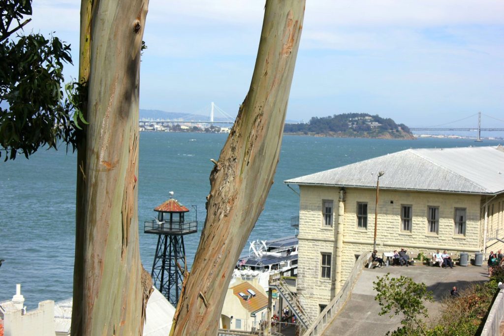 View down onto the bay from Alcatraz during our visit to San Francisco - reasons to visit California and California road trip in photos