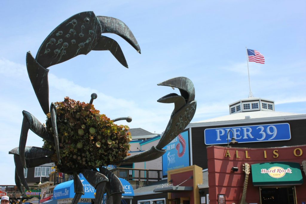 Pier 39 - one of 63 things to do in San Francisco with kids - my pick of the different places, tours and attractions in San Francisco for a family holiday, from parks to museums, activities and playgrounds.