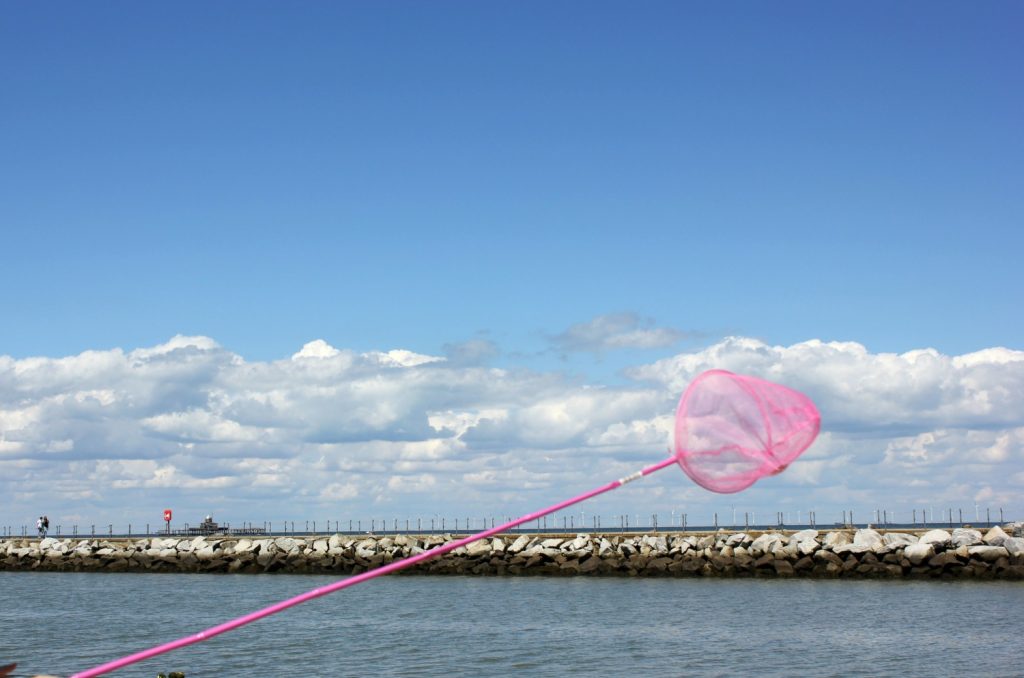 Letting your imagination run with with the help of a child's net - catching 'sharks' in the shallows at Herne Bay in Kent