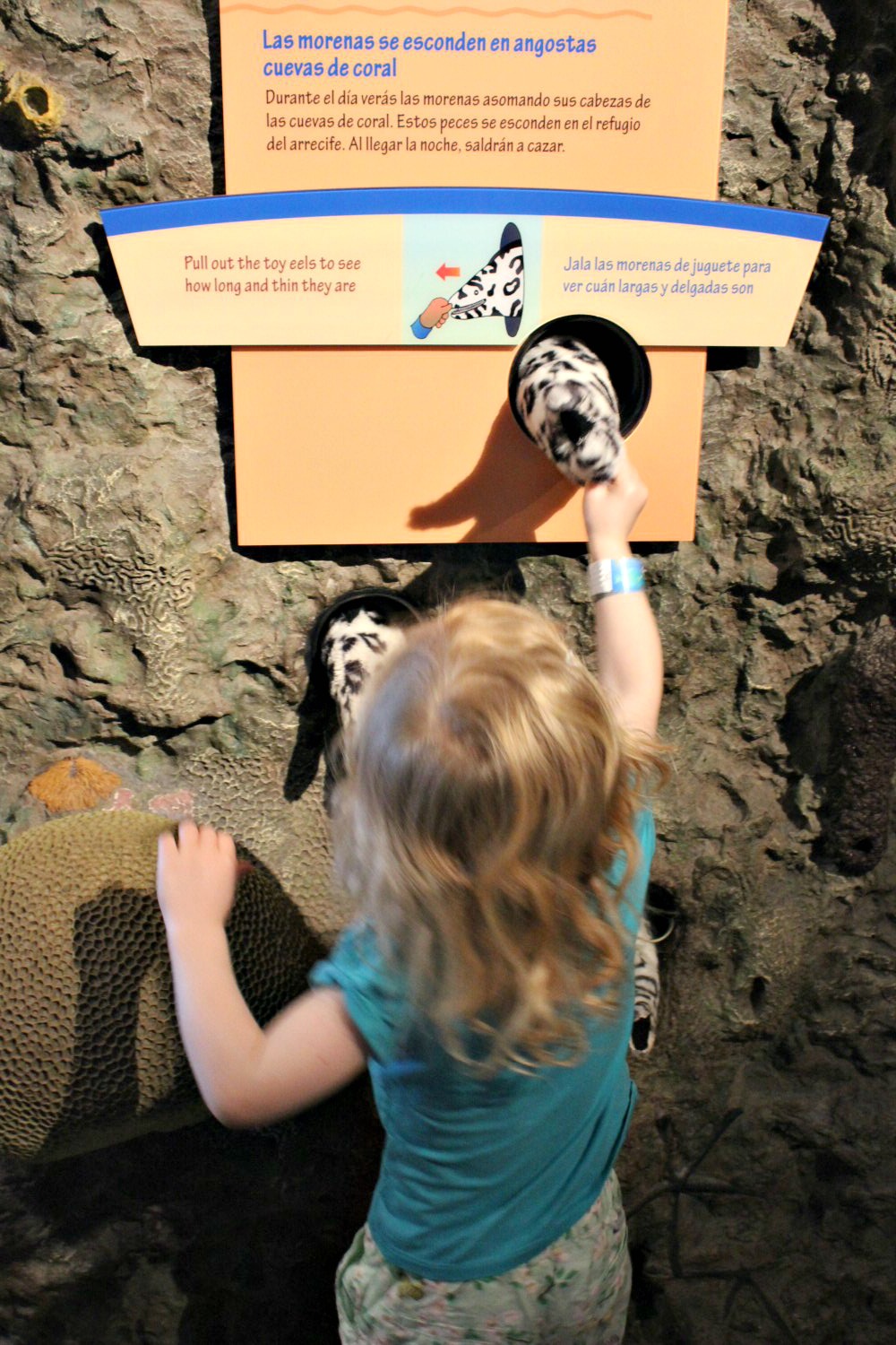 A girl tests out some of the family-friendly activities at Monterey Aquarium on our California road trip