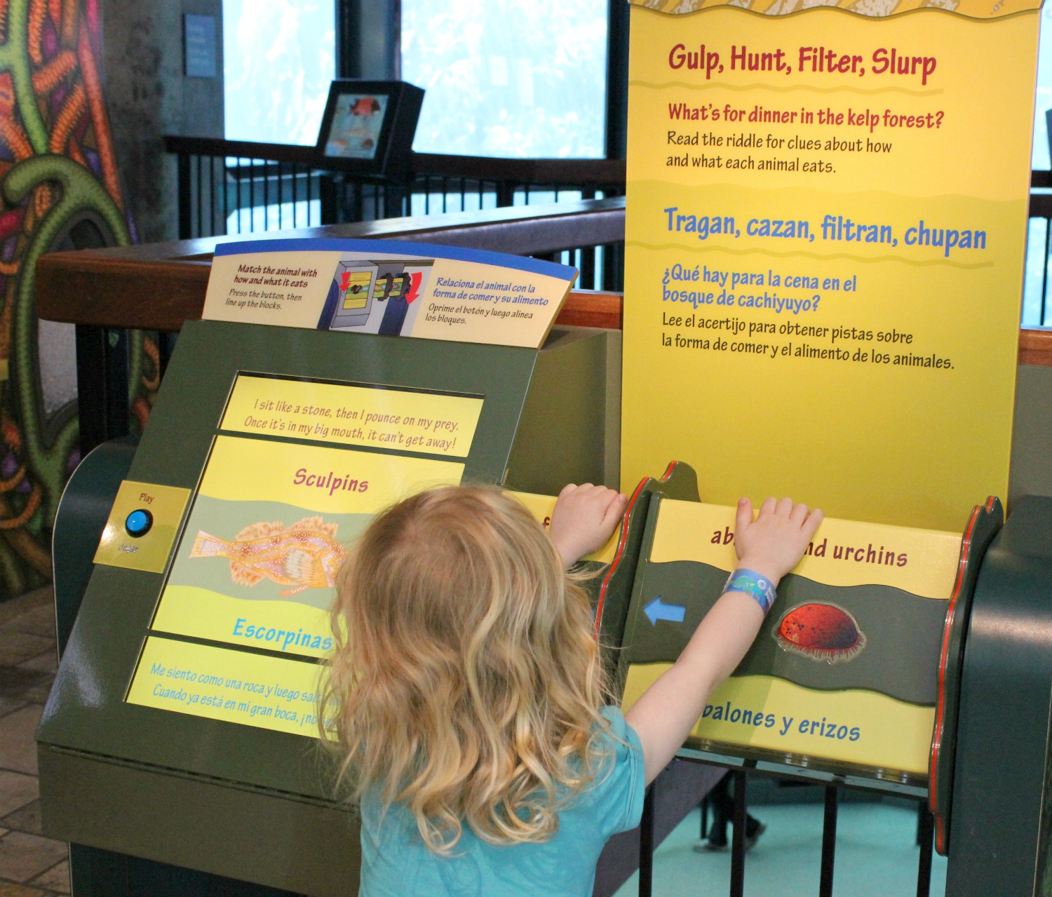 A girl tests out some of the family-friendly activities at Monterey Aquarium on our California road trip
