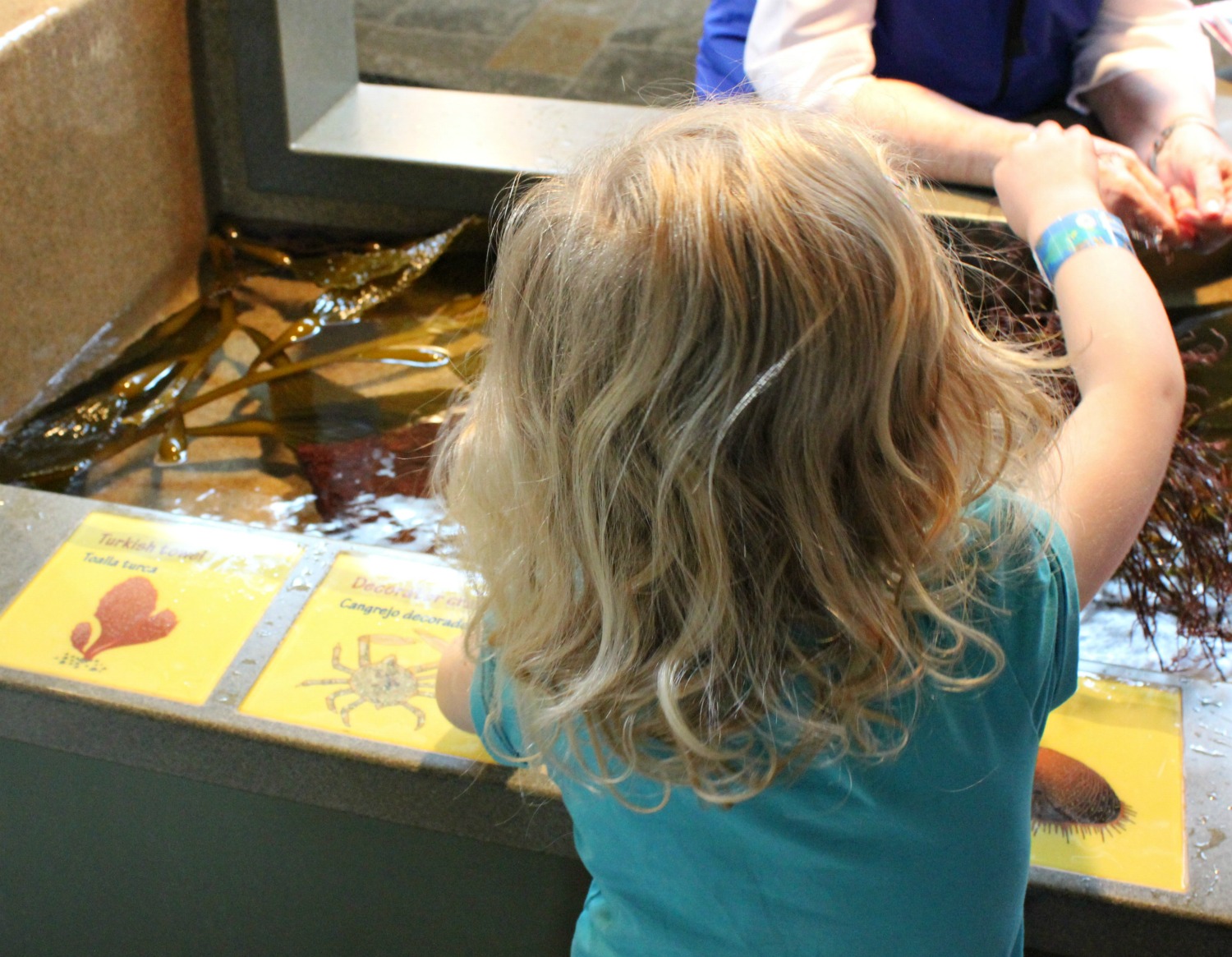 A girl tests out some of the family-friendly activities at Monterey Aquarium on our California road trip