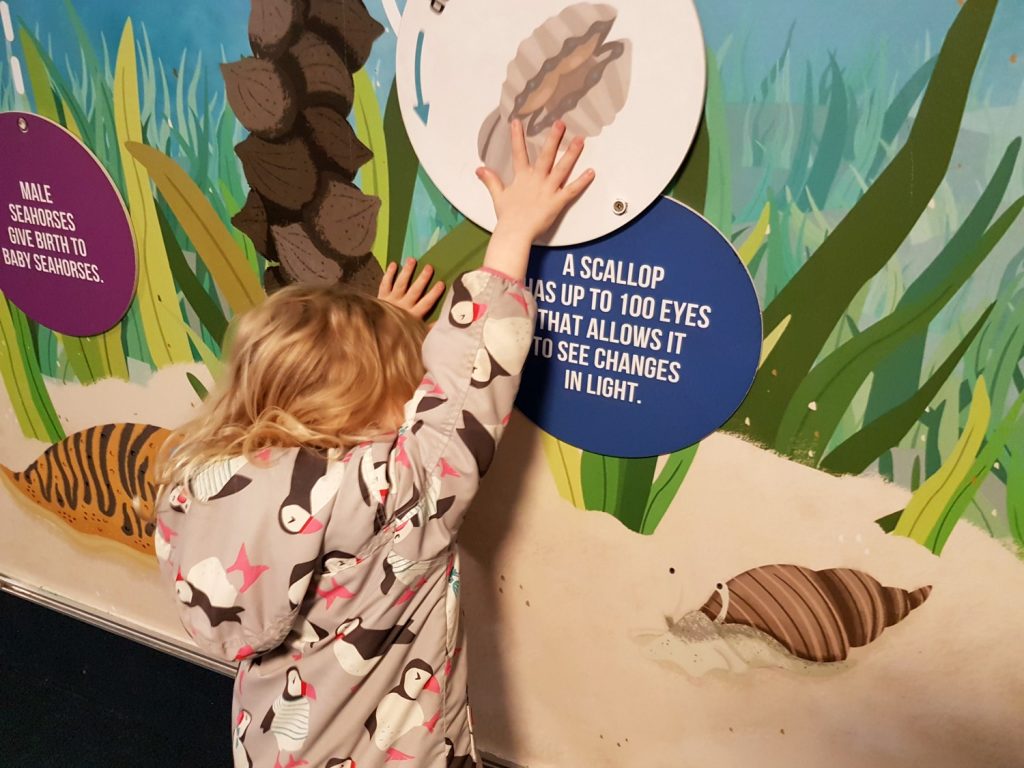 A girl swings back a board in one of the interactive exhibits - my 13 reasons to visit the National Marine Aquarium, Plymouth