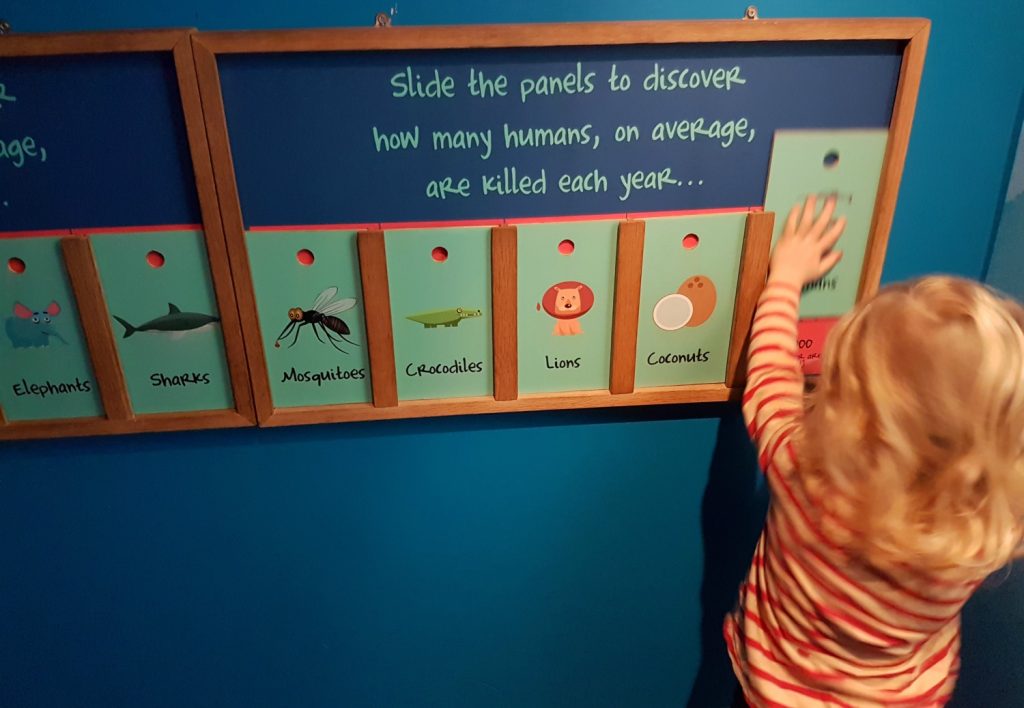 A girl lifts up a board about marine animals in one of the interactive exhibits - my 13 reasons to visit the National Marine Aquarium, Plymouth