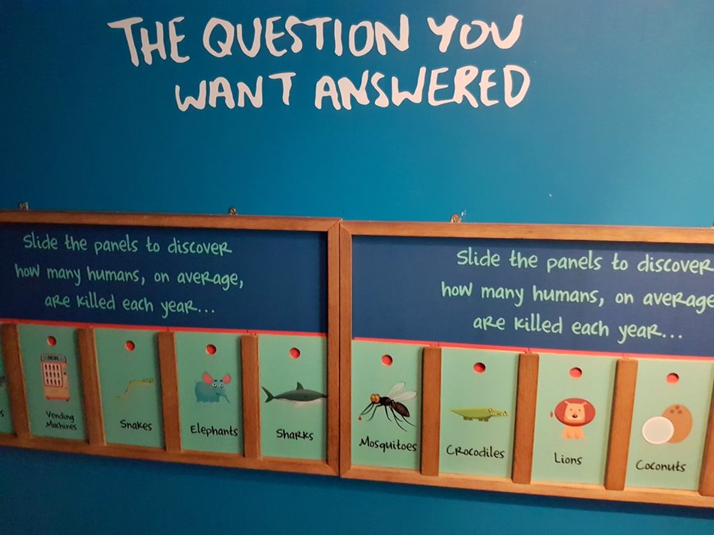 How lethal are sharks? One of the interactive exhibits - my 13 reasons to visit the National Marine Aquarium, Plymouth