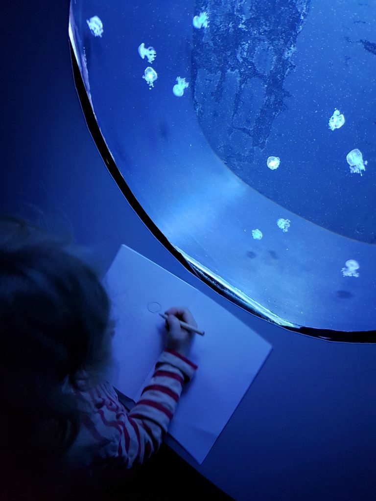 A girl sketches the jellyfish - my 13 reasons to visit the National Marine Aquarium, Plymouth
