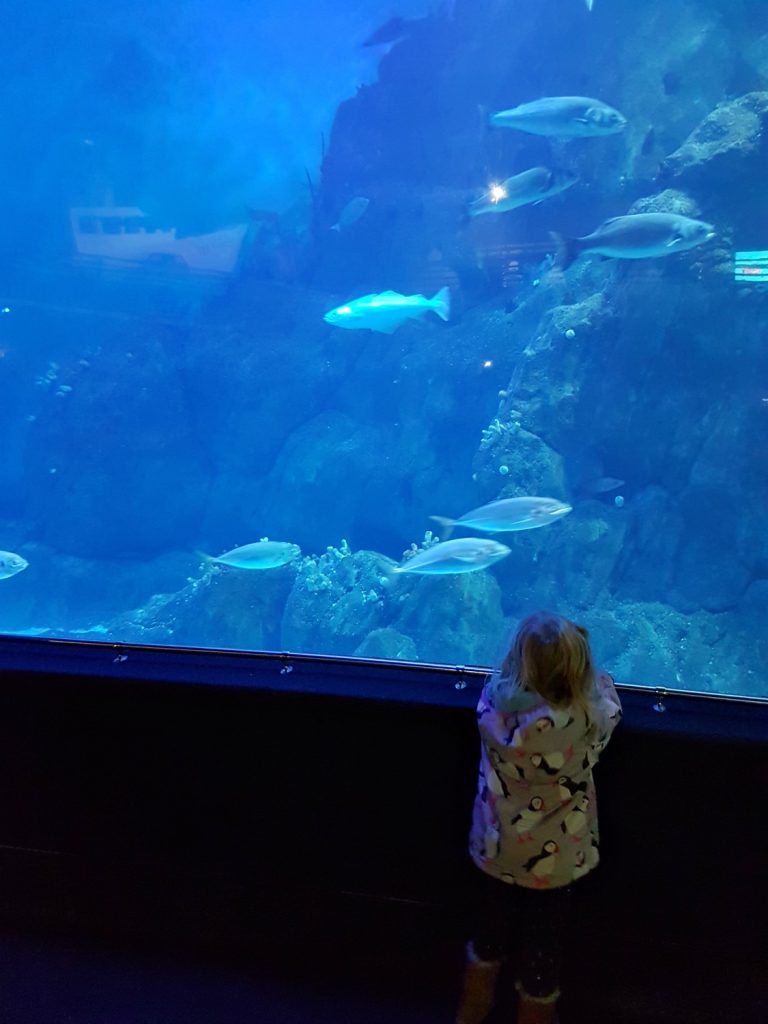 A girl in front of a huge tank of fish - my 13 reasons to visit the National Marine Aquarium, Plymouth