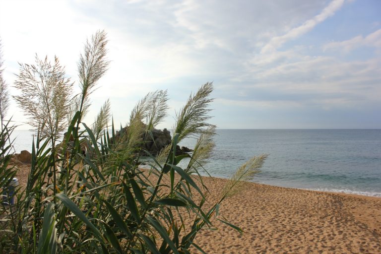 View of the beach through grasses looking out to sea on the Costa Barcelona - one of 13 reasons to visit Costa Barcelona with kids