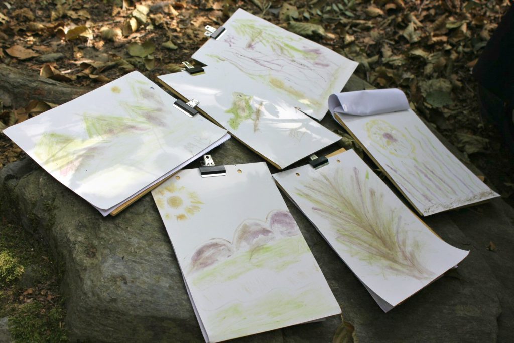 Natural artwork, created with plants, one of the family-friendly activities at Montseny biosphere reserve. My walk in the woods at Montseny Natural Park, Spain