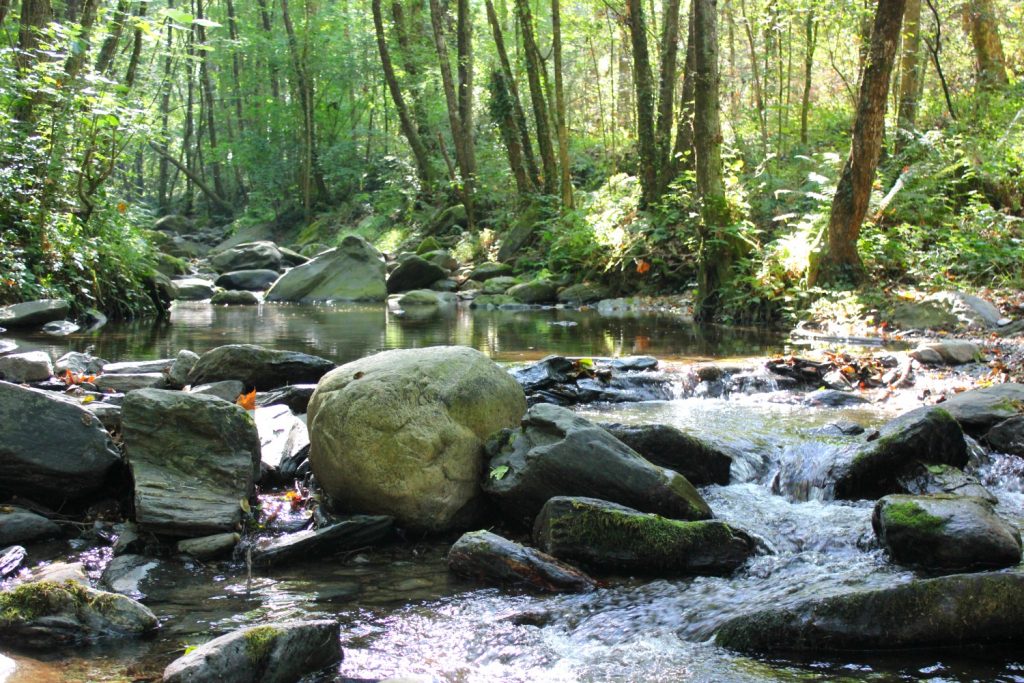 A small waterfall in the river under the trees of Montseny Natural Park on the Costa Barcelona - one of 13 reasons to visit Costa Barcelona with kids