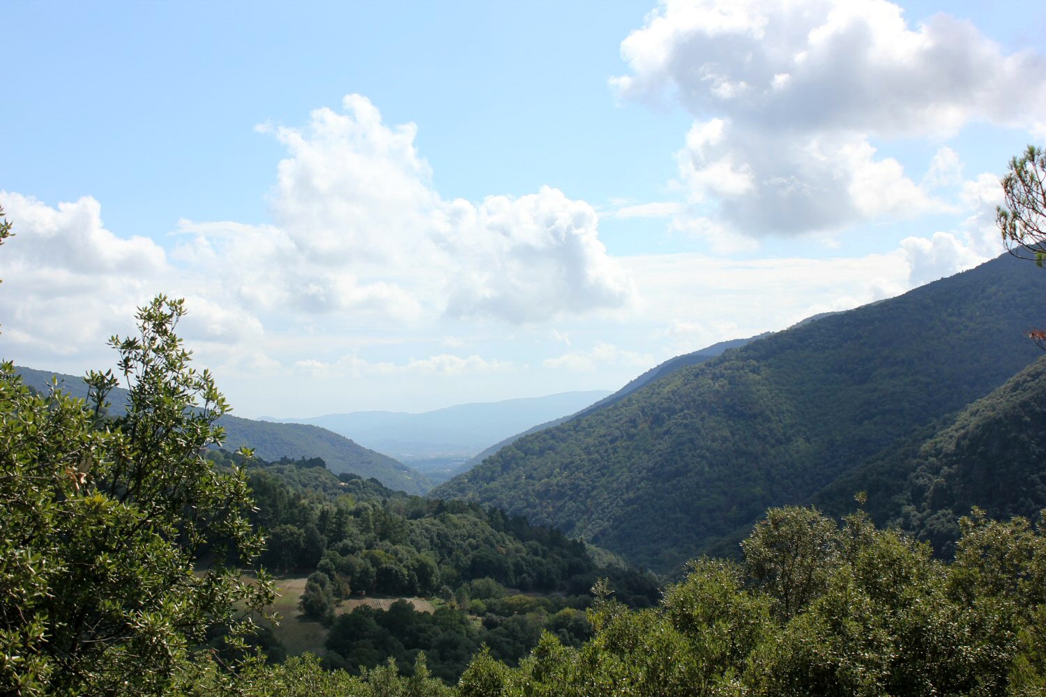 View out to the hills in Montseny natural park and biosphere reserve. My walk in the woods at Montseny Natural Park