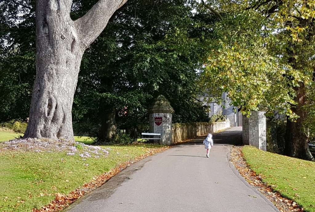 Girl wandering up the path to Powderham Castle, near Exeter - my review of Powderham Castle with kids