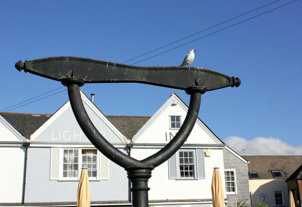 A seagull sits perched on a black metal sign outside the Lighter Inn pub in Topsham in Devon - we followed a treasure hunt around the town, a great way to explore Topsham with kids