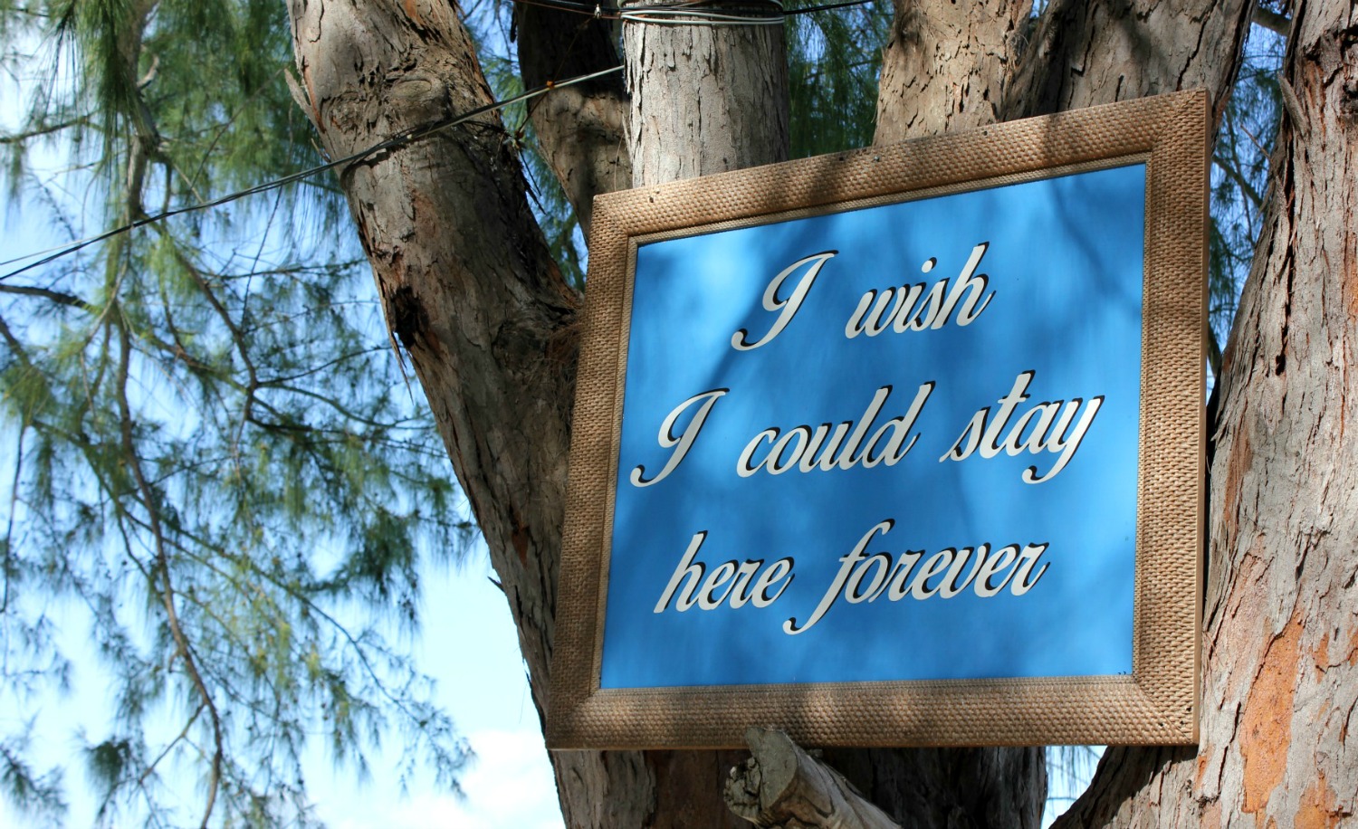 Sign reading I could stay here forever - the all-inclusive ethos makes it very tempting. - one of my 9 top reasons to visit Beaches Turks & Caicos with kids